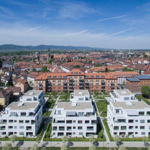 Hausmeisterservice-speyer-6